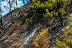 1.120 Hektare Lahan Terdampak Karhutla Gunung Bromo Padam, Tim Gabungan Sisir Bara Api dan Asap