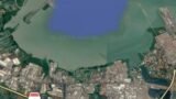 Garis Pantai Gresik-Surabaya Gundul, Perlu 1 juta Bibit Mangrove untuk Tahan Abrasi